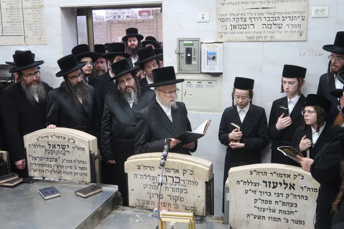 מחיפה ועד זכרון מאיר; כך ציינו בסערט ויז'ניץ את הילולת ה'מקור ברוך'