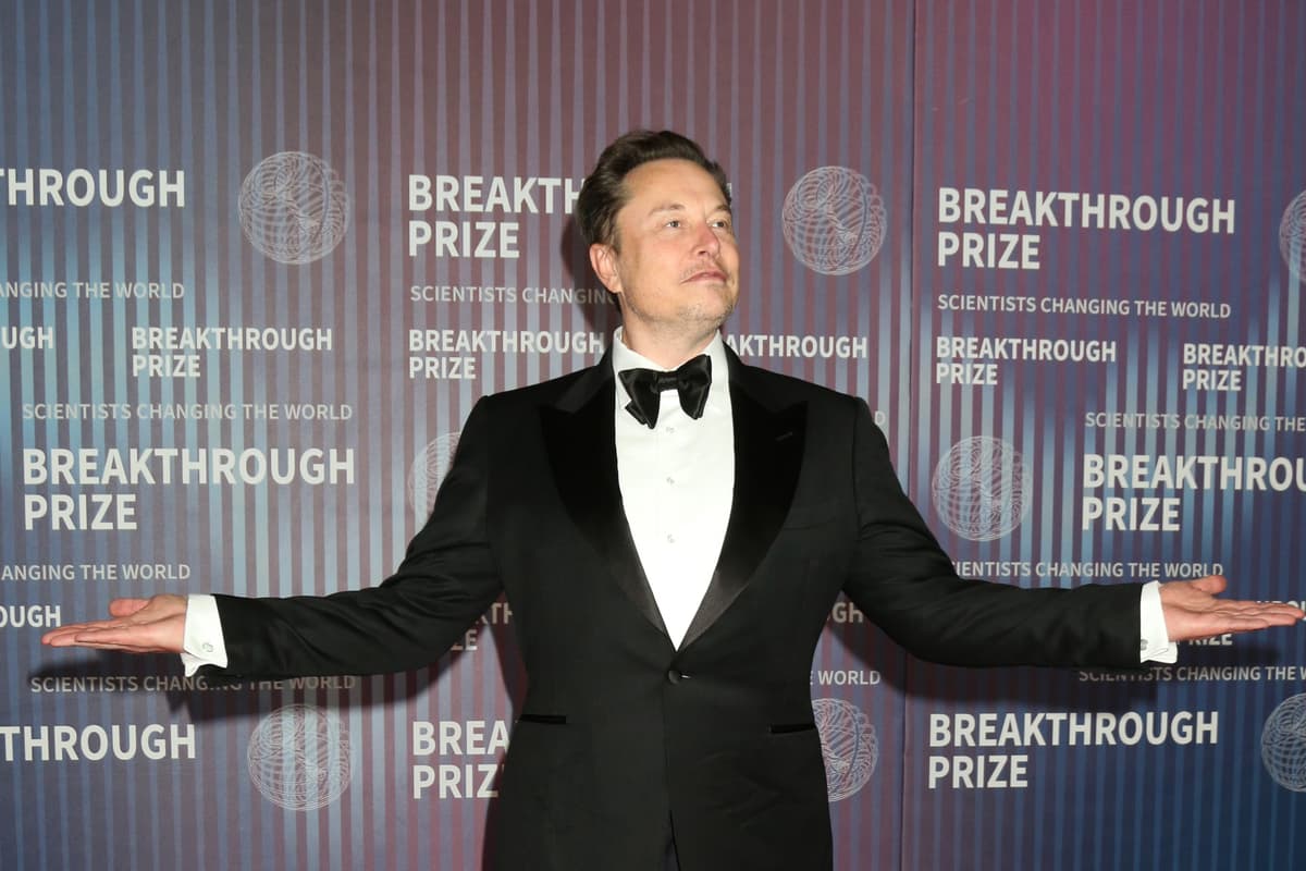 Musk Backs Israel's Security Approach: They Understand It Very Well | WATCH