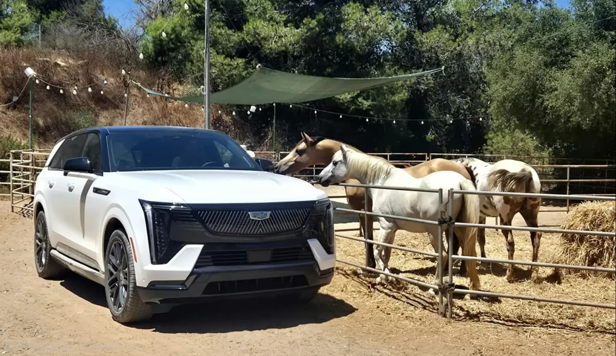 עושה את אמריקה שוב גדולה