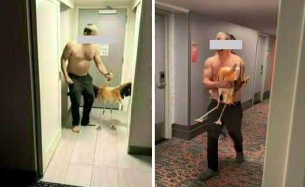 לקח פלמינגו לחדר המלון בלאס וגאס – וטען שזו הייתה מתיחה