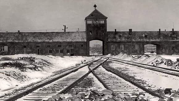 В возрасте 92 лет ушел из жизни бывший узник Освенцима Герман Хелленрайнер