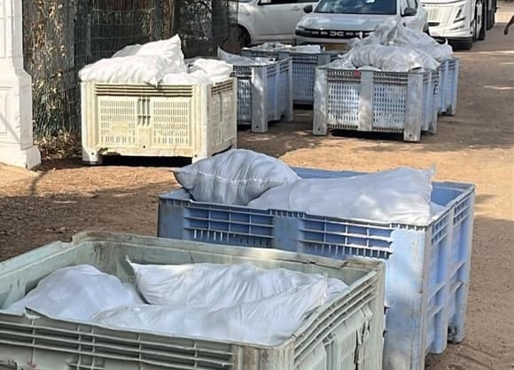 Бойцы МАГАВ задержали подозреваемого в краже 4,5 тонны авокадо
