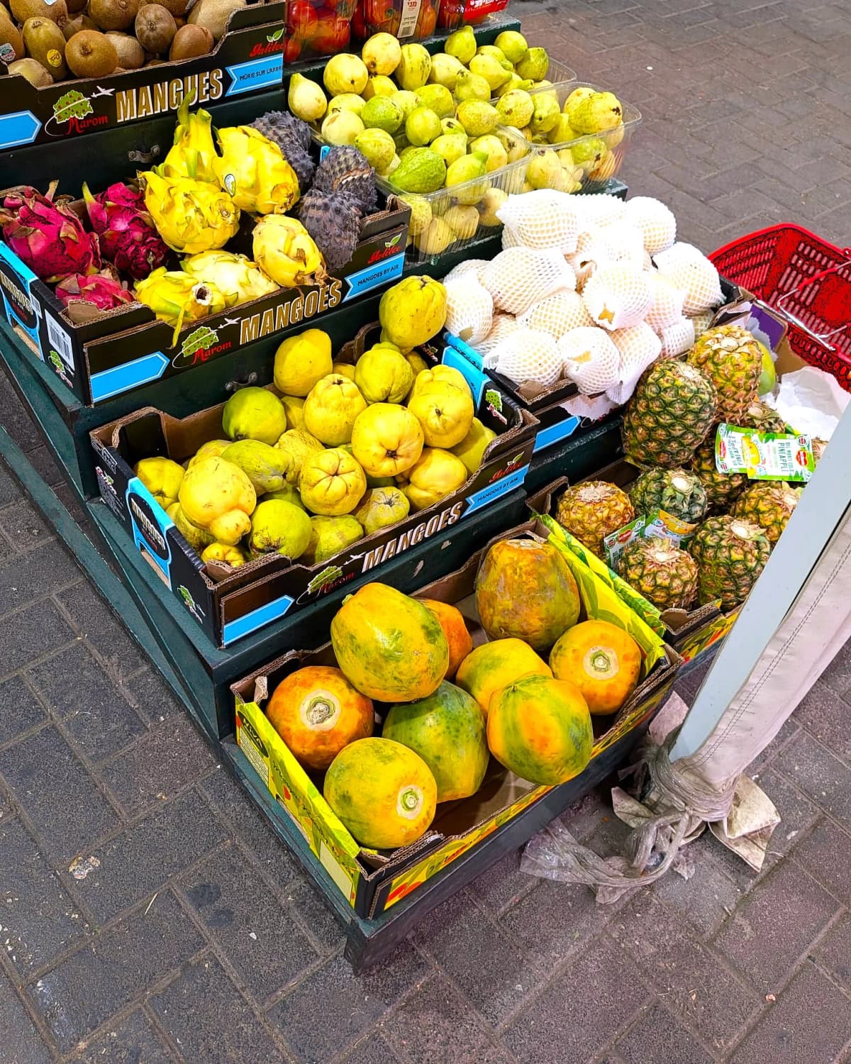 Eighteen Not-So-Serious Questions About the Meaning of Life in Israel