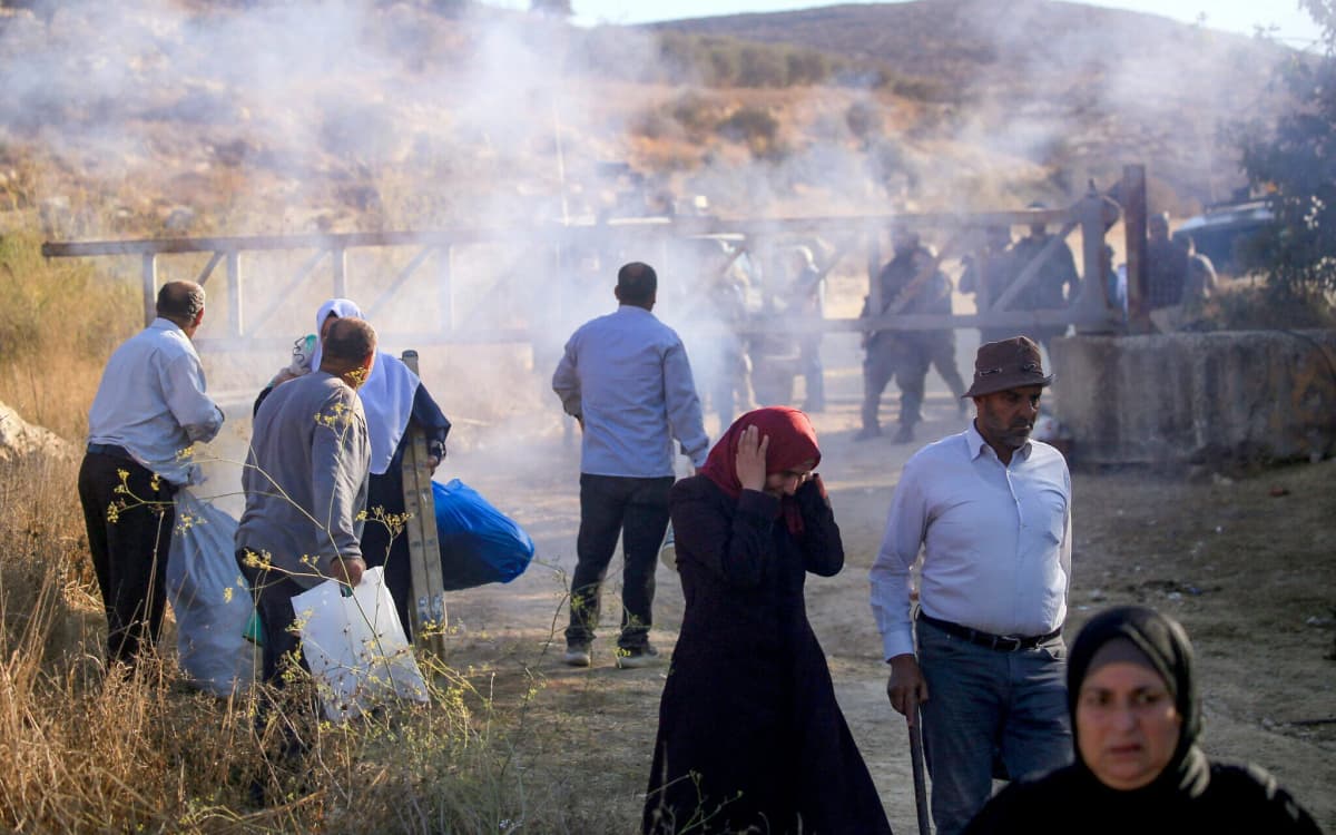 European diplomats attacked by settlers during olive harvest visit in West Bank