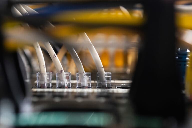 What To Know About The AI-detected Security Bug Impacting Wide Swaths Of The Internet