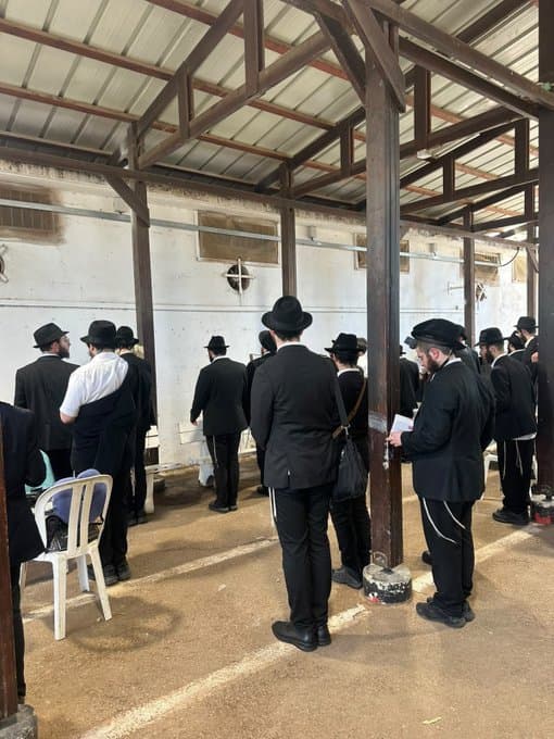 42 Chabad Students Detained At Ben-Gurion Airport Over Draft Status
