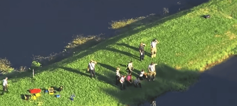 Florida Man Killed by Alligator While Fishing