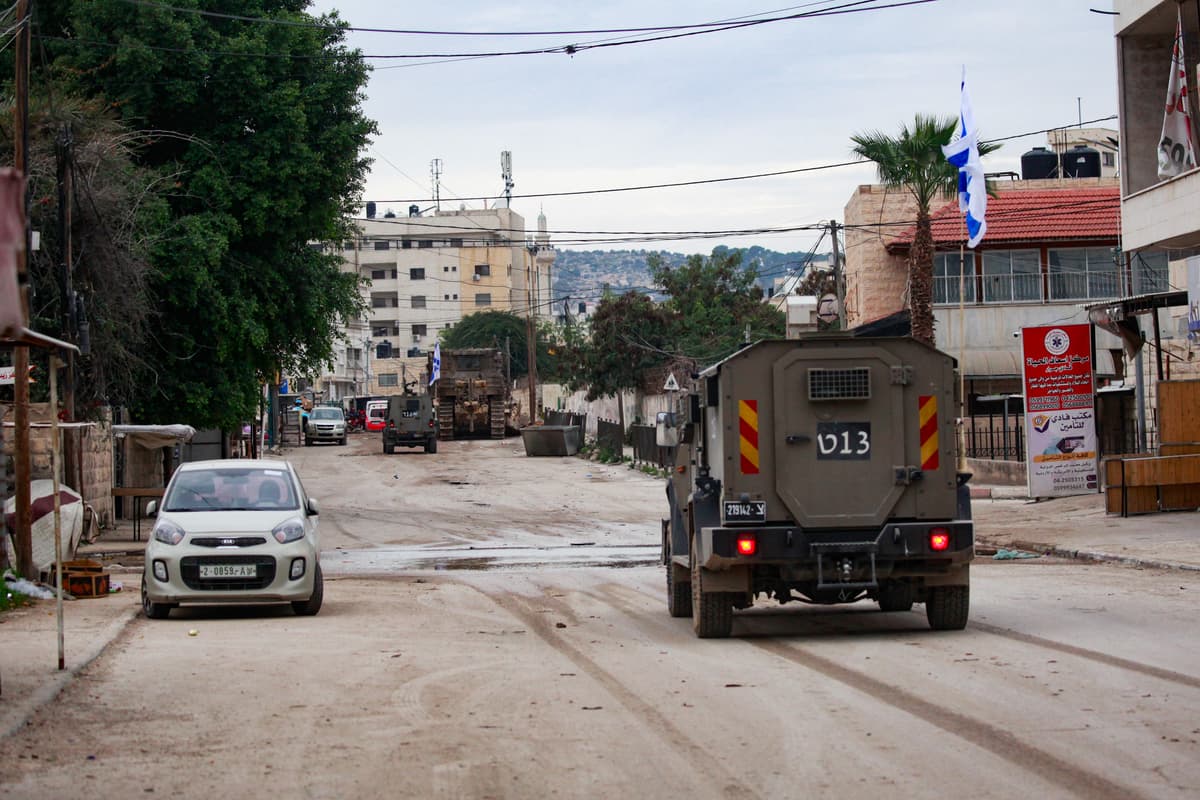 מסיק ללא תיאום: 11 פעילים זרים עוכבו לחקירה