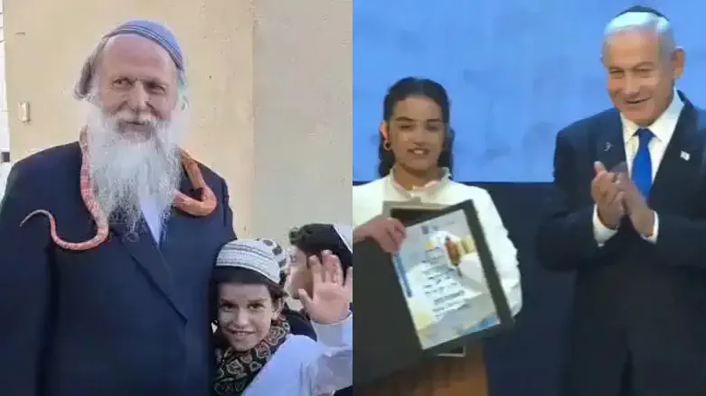 7 ברנז'ה: הרב והנחש - והשידוך שמאחד את עולם התנ"ך