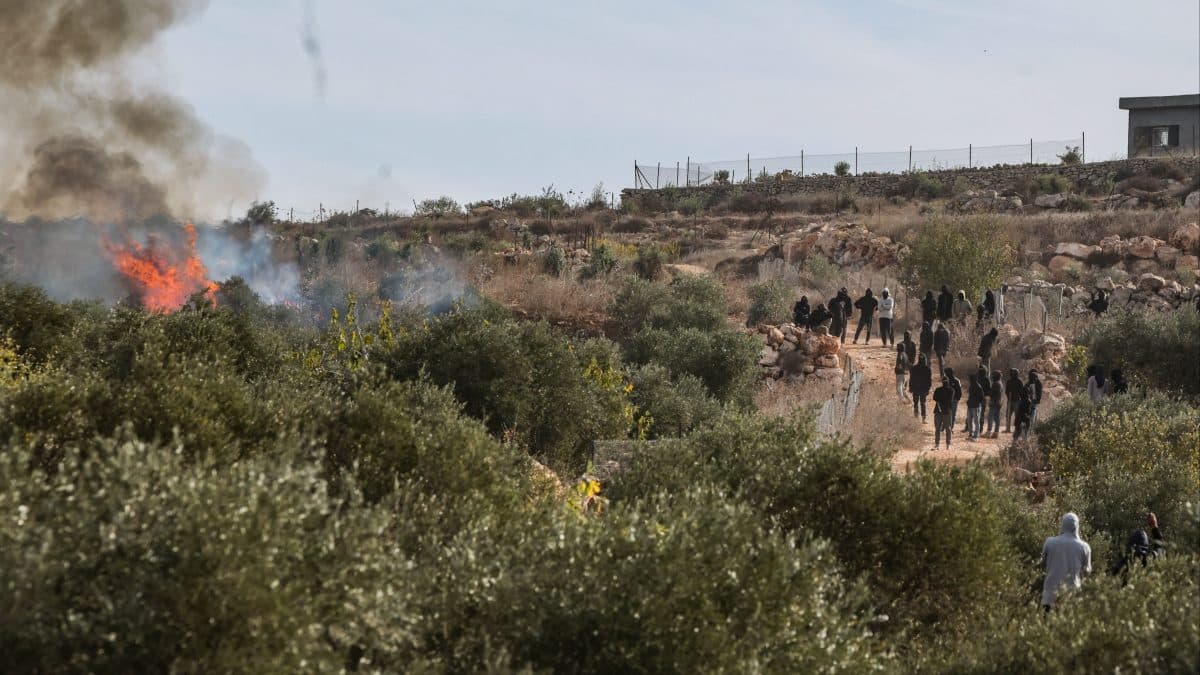 צה"ל: ישראלים הציתו מכולה וריססו כתובות גרפיטי בכפר ערבי ביו"ש