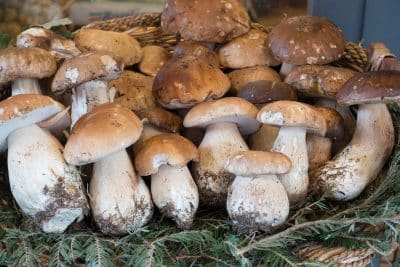 Продукт, который существенно снижает риски рака у мужчин