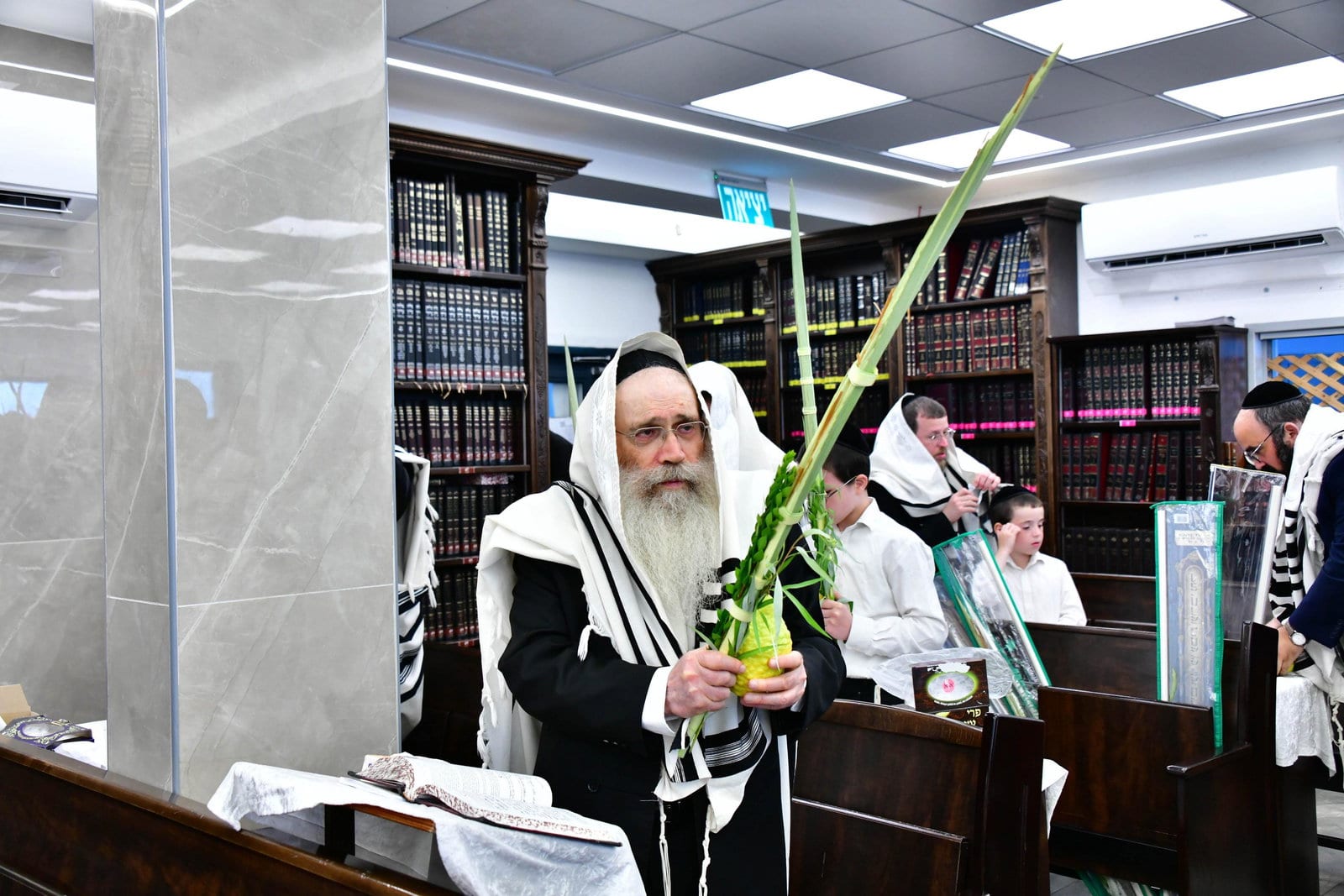 ללא 'קוישיקל'; חביבות המצווה המיוחדת של ראש הישיבה בנטילת ארבעת המינים