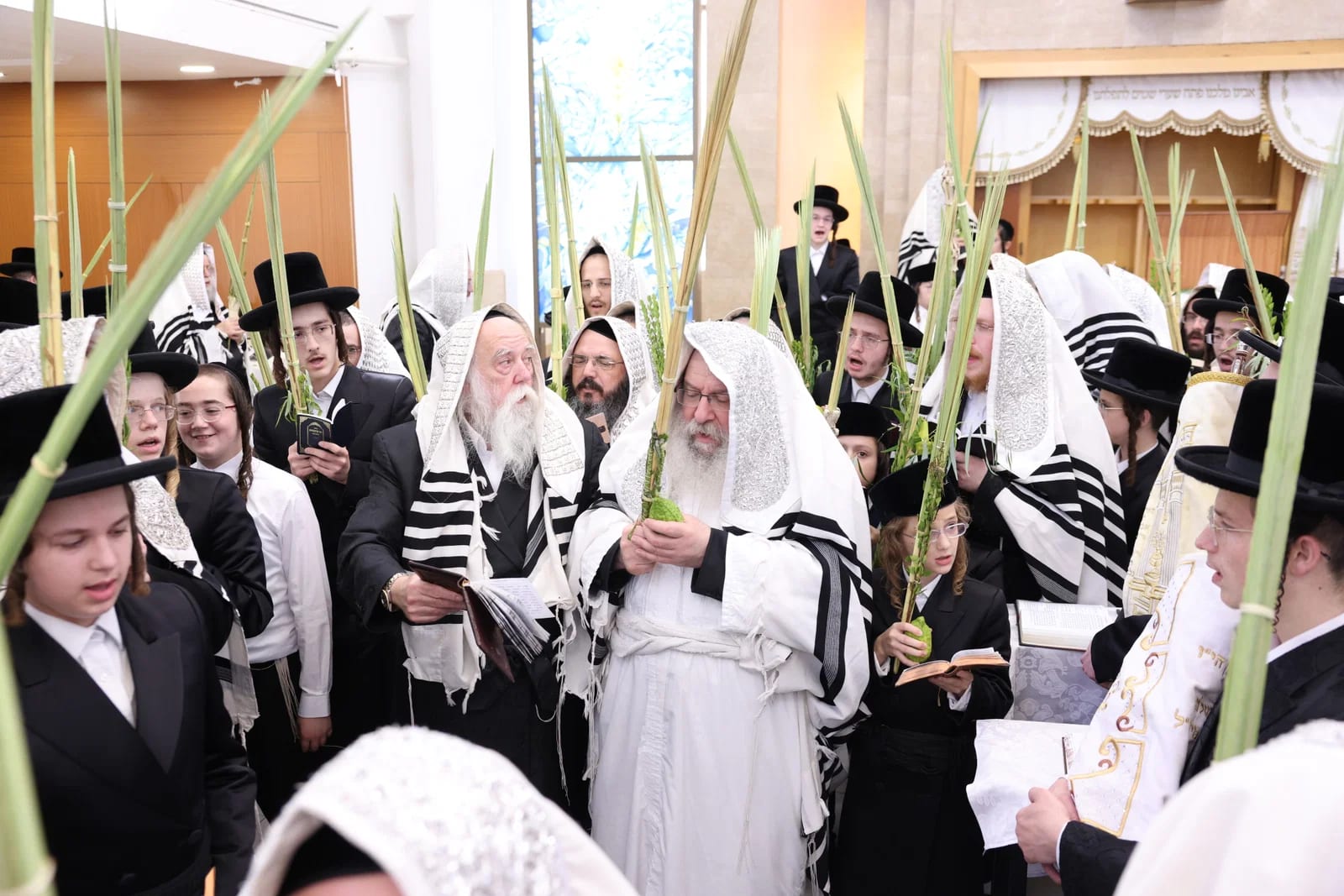 טפח מעל הקרקע; תיעוד מרהיב מימי החג בחצה"ק נדבורנה