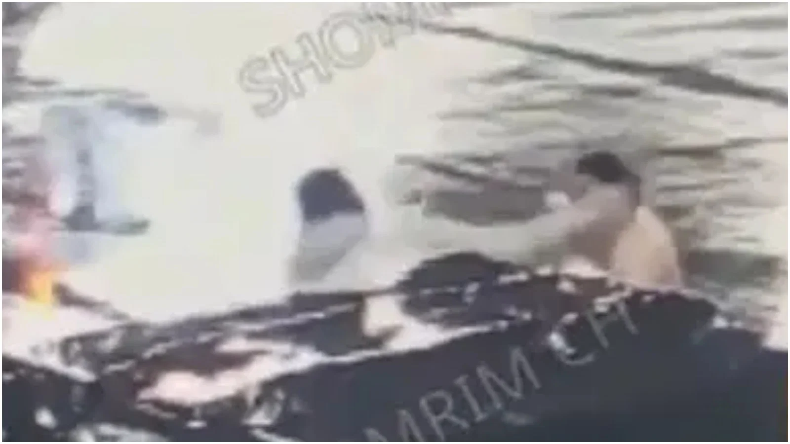 עקב אחרי בחור ישיבה מחוץ לתחנה - והתנפל עליו באגרופים | צפו