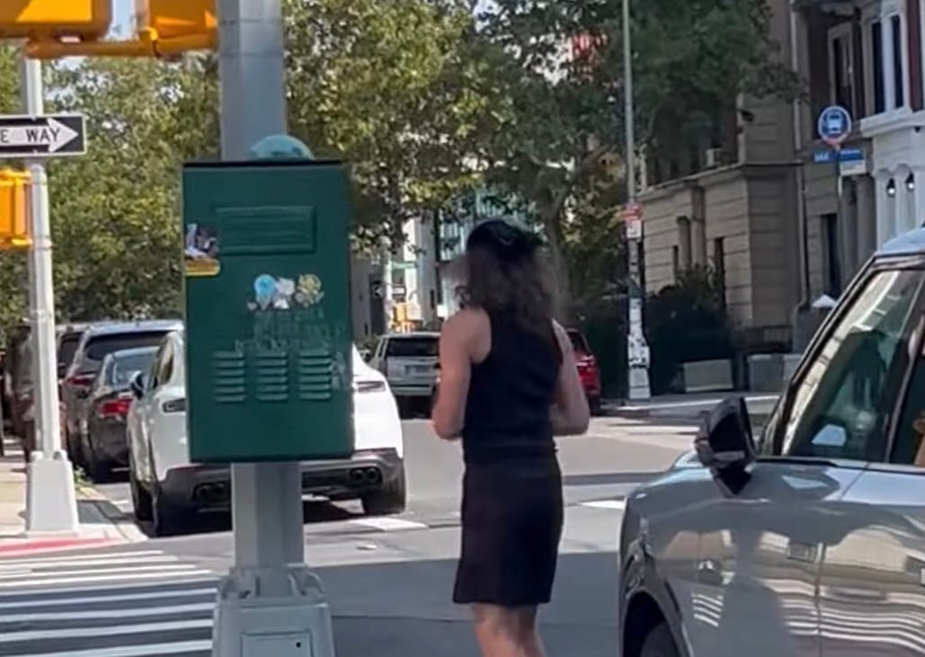 Woman Documents Vandal Spray-Painting Anti-Israel Slogan in Crown Heights