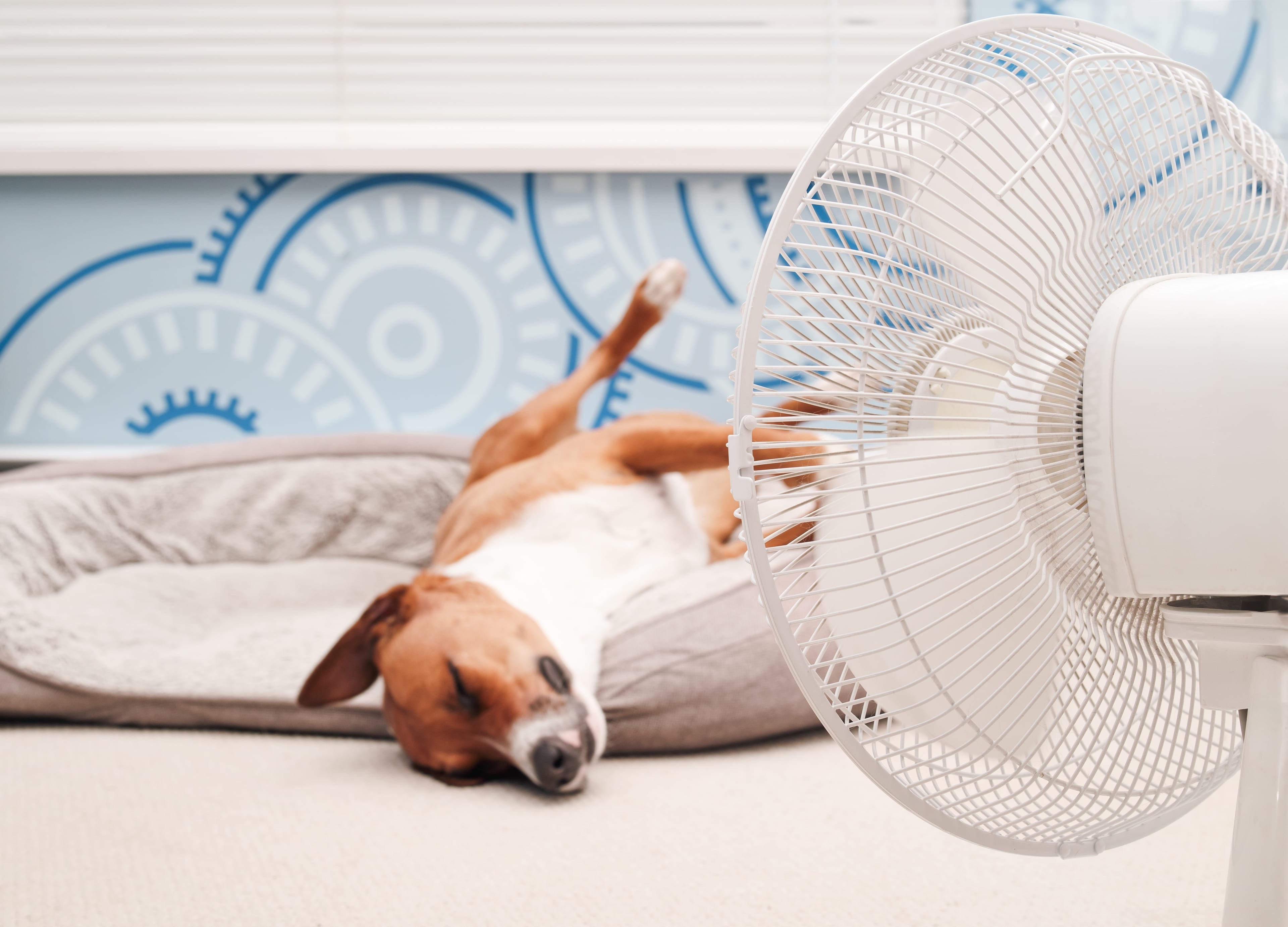 Israel Braces for Peak Heat Wave as Temperatures Rise Above Seasonal Average