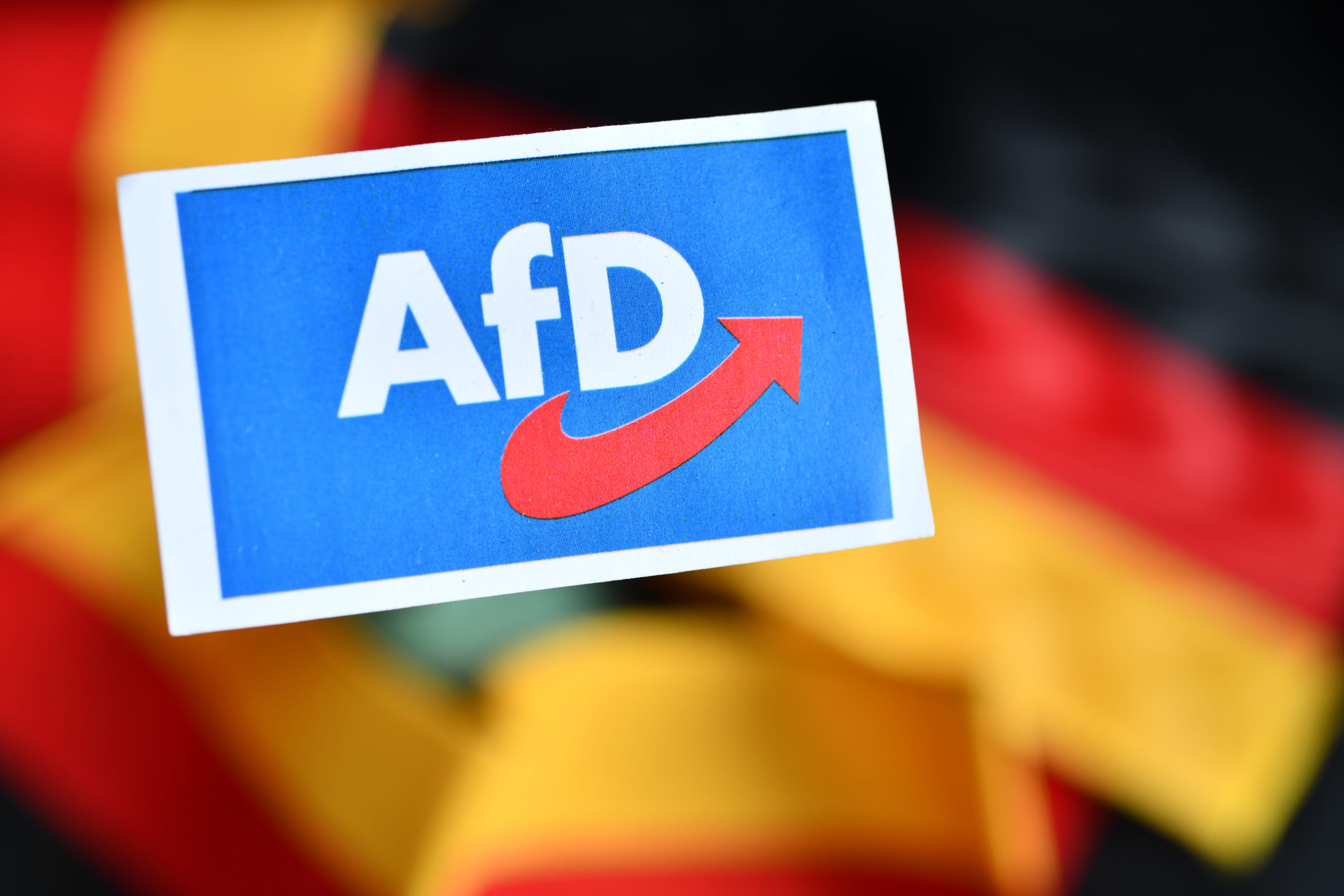 The AfD Says It Is Israel's Friend: After Hitler, German Jews Do Not Believe It