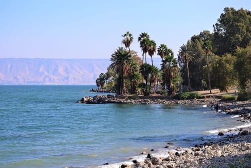 Israel Health Ministry: No Practical Solution Yet for Brain-Eating Amoeba in Sea of Galilee