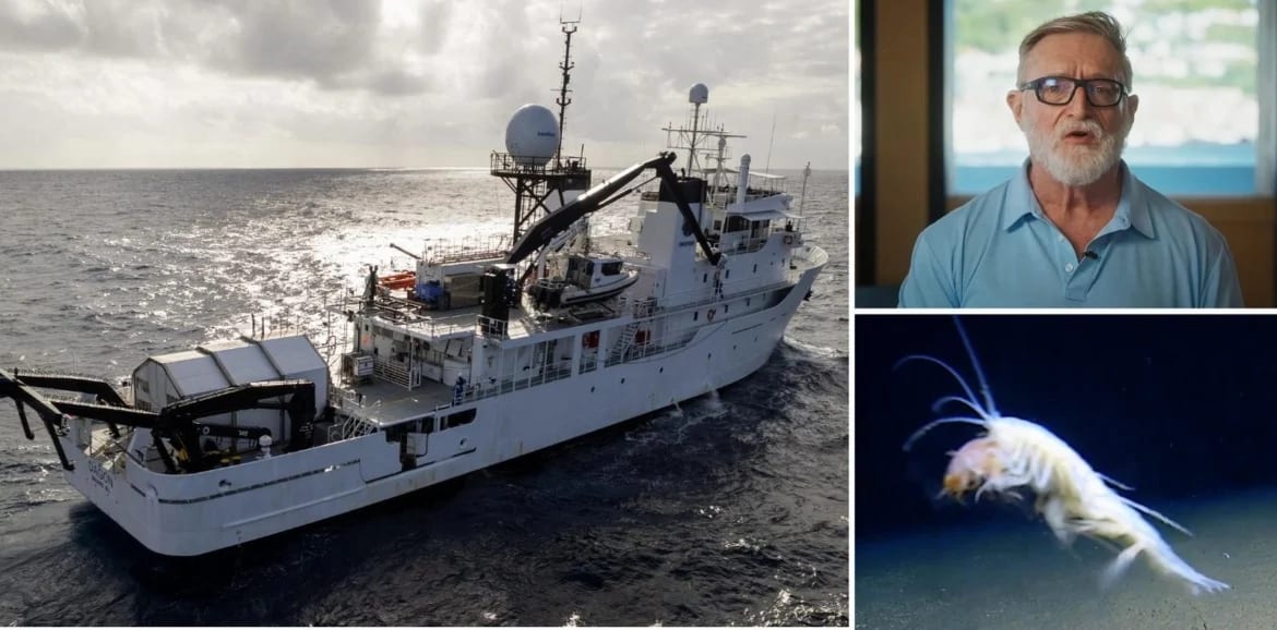 New Predator Species Discovered at One of Earth's Most Extreme Depths