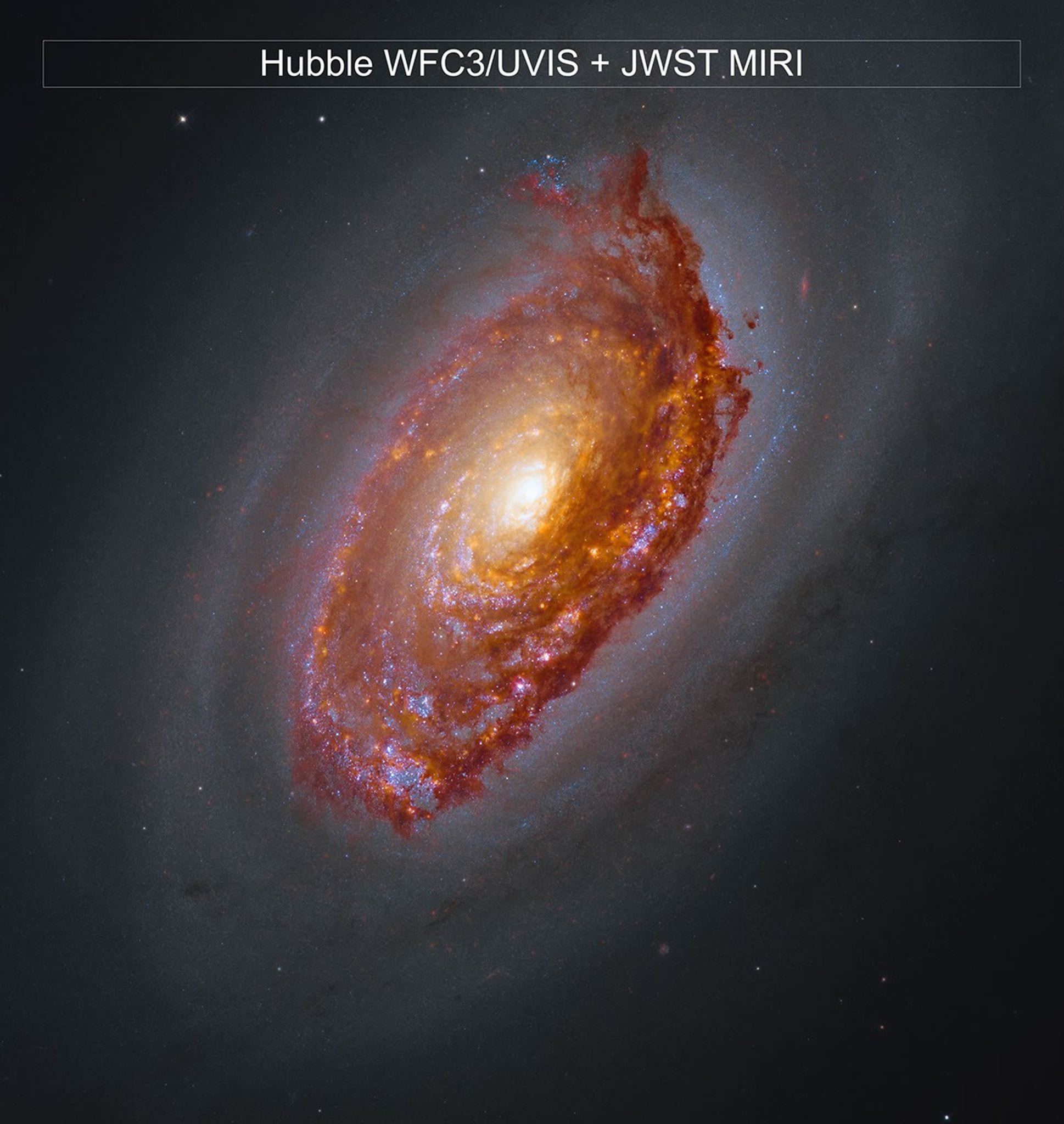 Webb Telescope Reveals What's Hidden Behind the Black Eye Galaxy