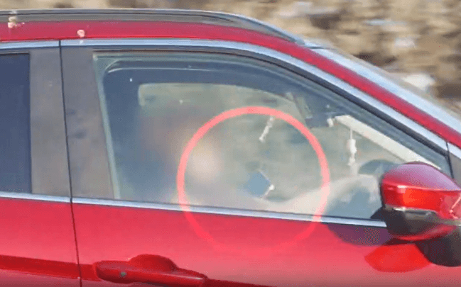 I'm Late to Walk My Dog: Driver's Excuse After Being Caught on Phone