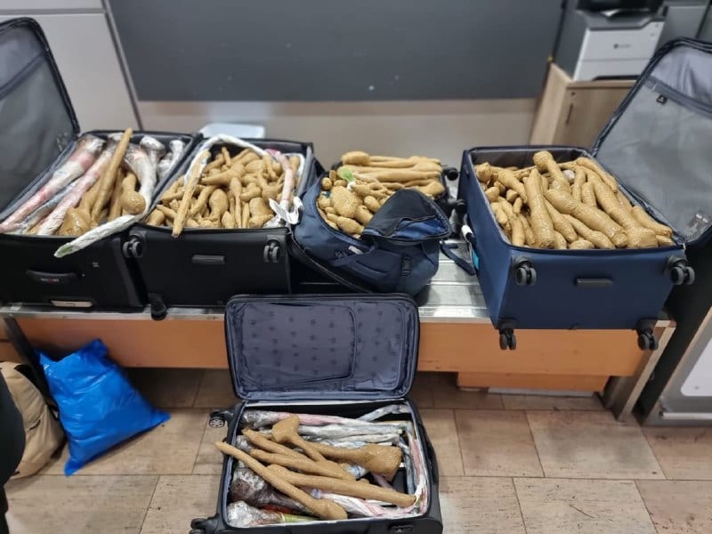 Doctor Caught at Ben Gurion with 300 Mystery Seedlings Smuggled from Thailand