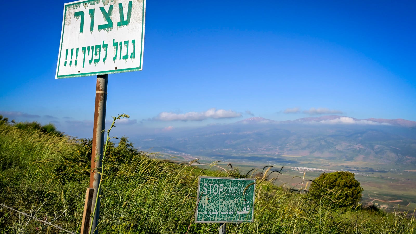 15 נערות הערימו על אוגדה שלמה - וחצו את הגבול ללבנון