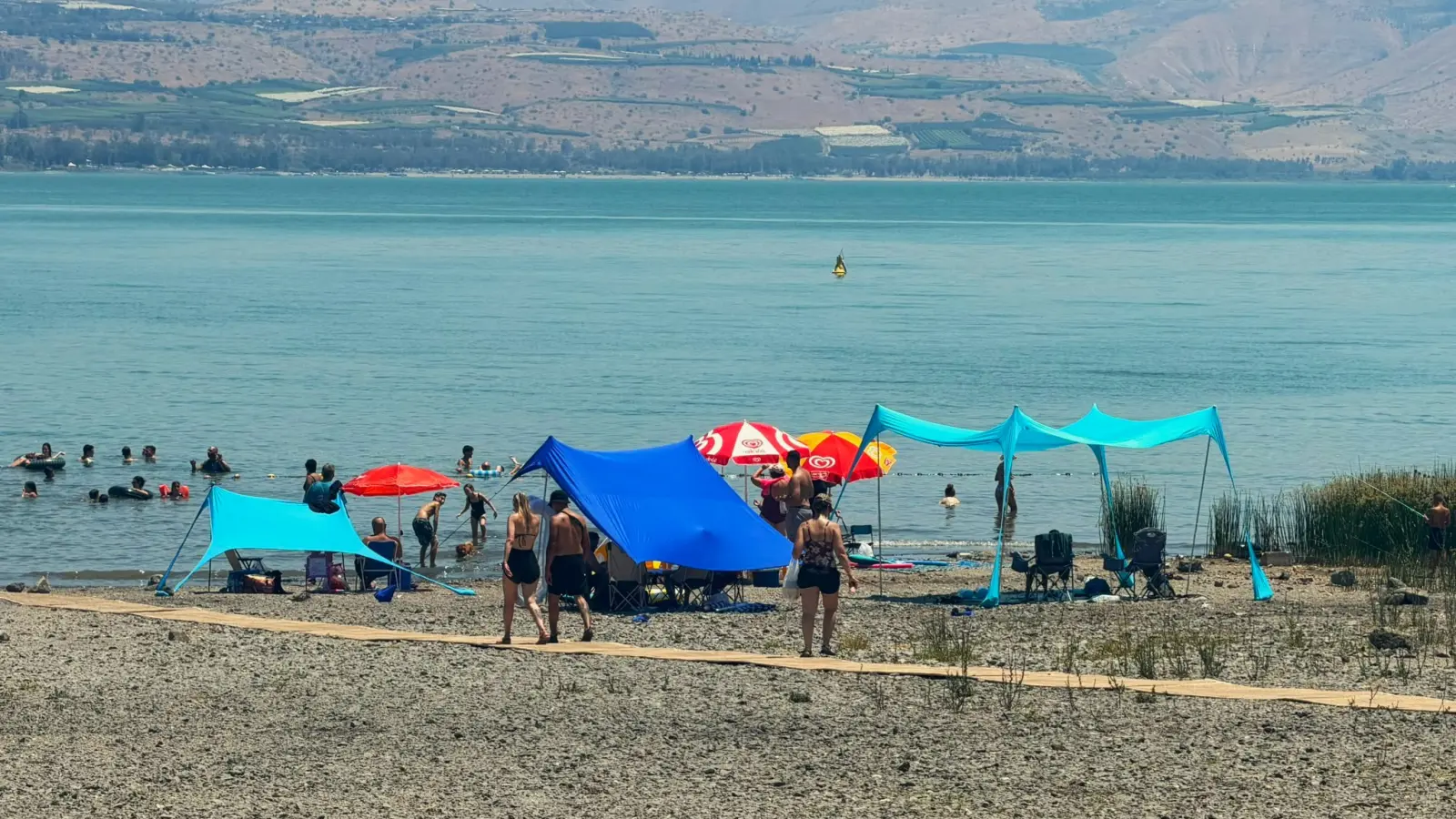 החופים פתוחים, האמבה נשארת: האזהרה החדשה לרוחצים בכנרת