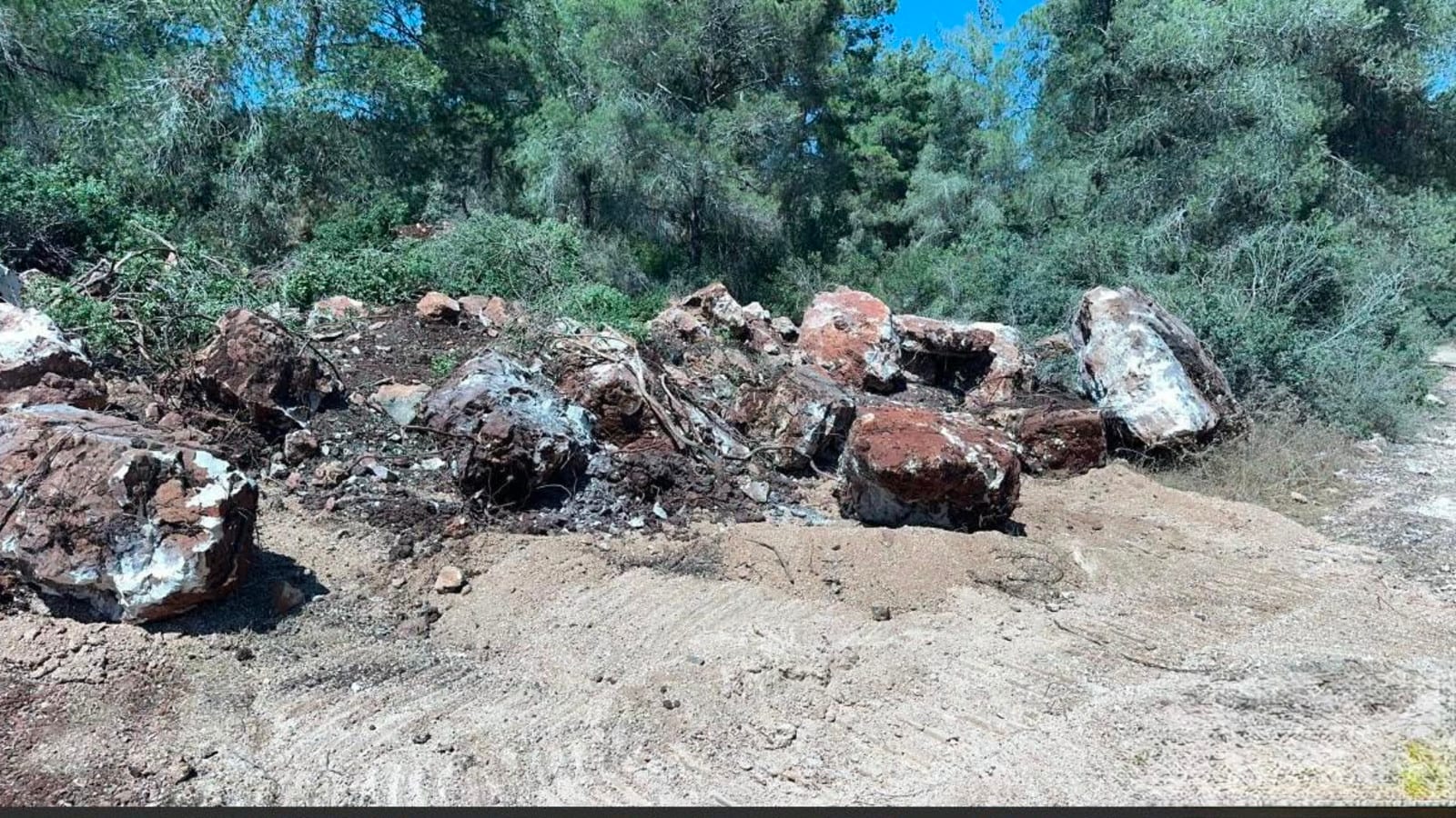 לאחר שלושה שבועות של מעקב - נתפס חשוד בגניבת משאבי טבע בצפון