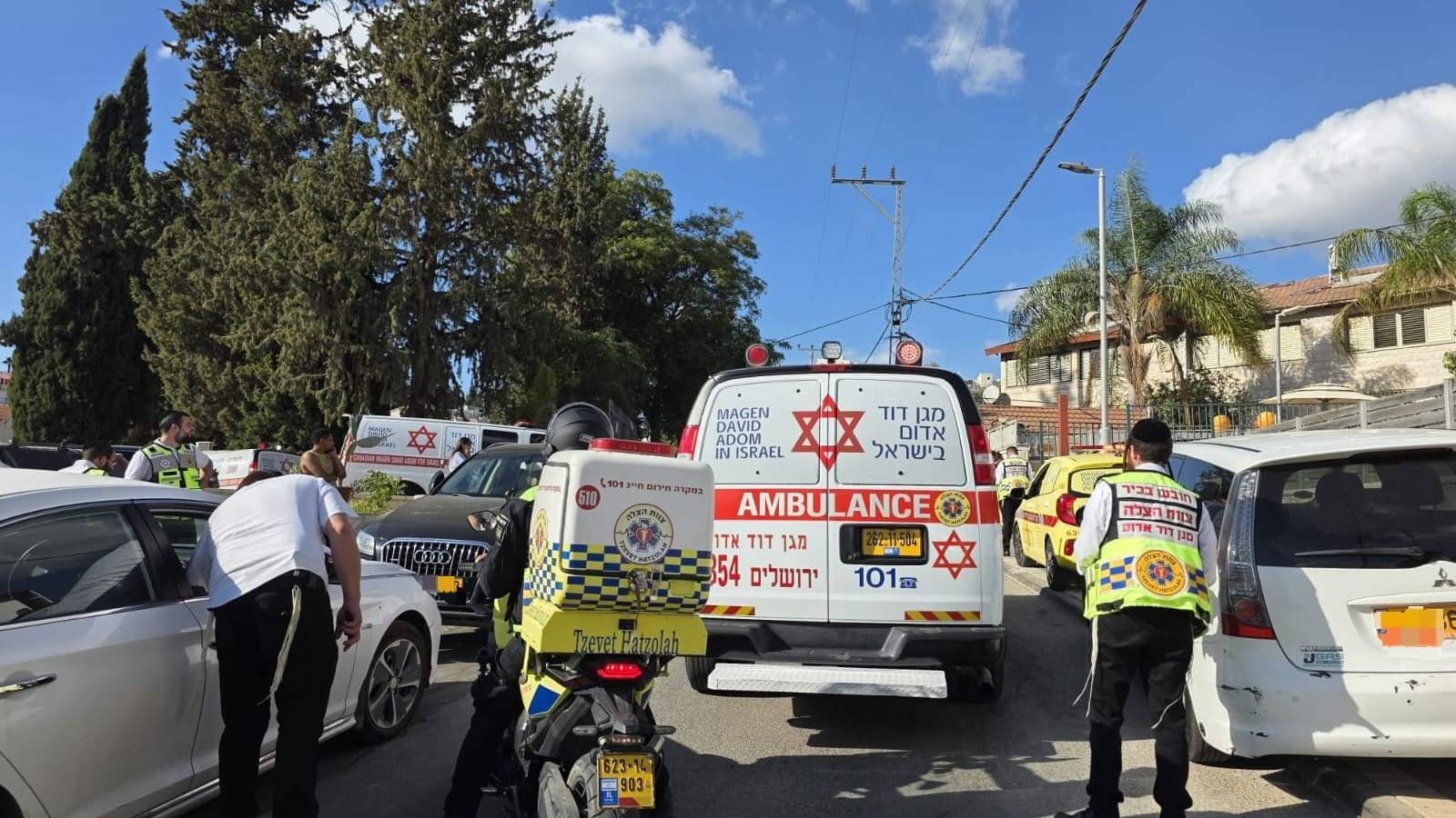 ילדים מתבוססים בדם בבריכה מתנפחת, דקורים בגרון ובחזה: האימה בבית שמש