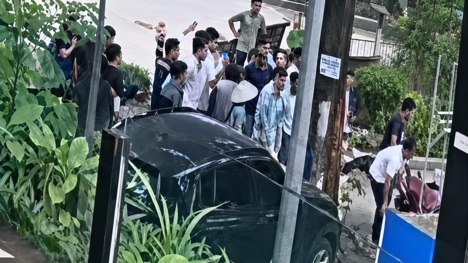 "עץ הצדק" נגד האליטה: התאונה שמסעירה את וייטנאם