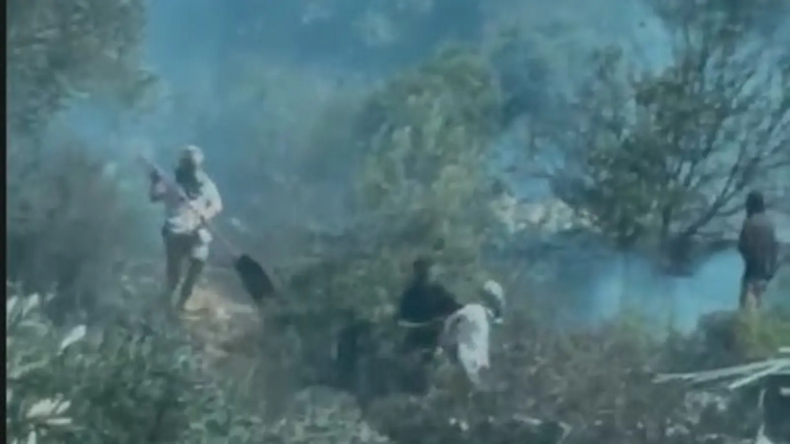 הפשיעה הלאומנית באיו"ש: פעילי ימין מציתים שטחים חקלאיים סמוך לשכם | צפו