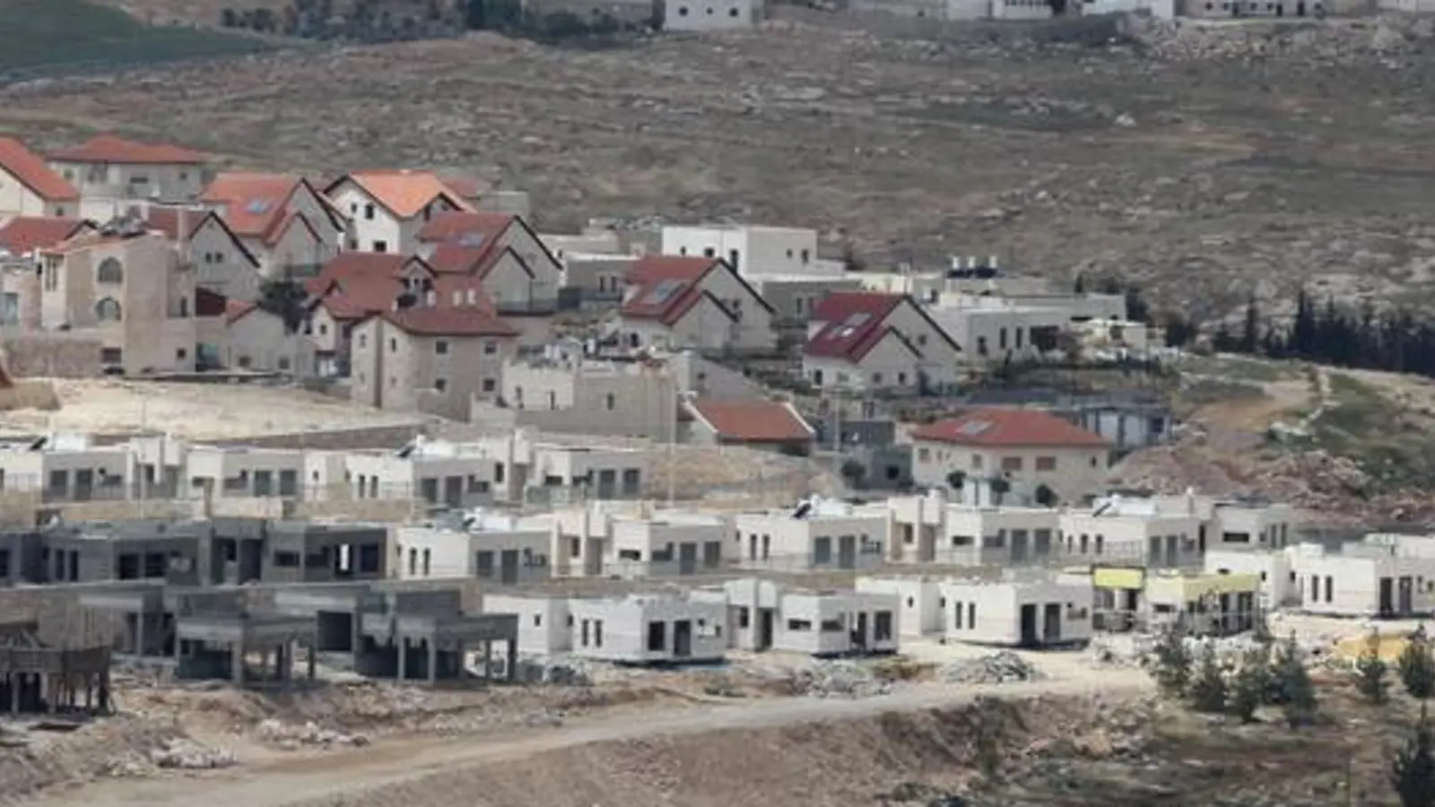 התנגדות להתנחלויות אינה שלילת הלגיטימיות של ישראל | שרון פרדו