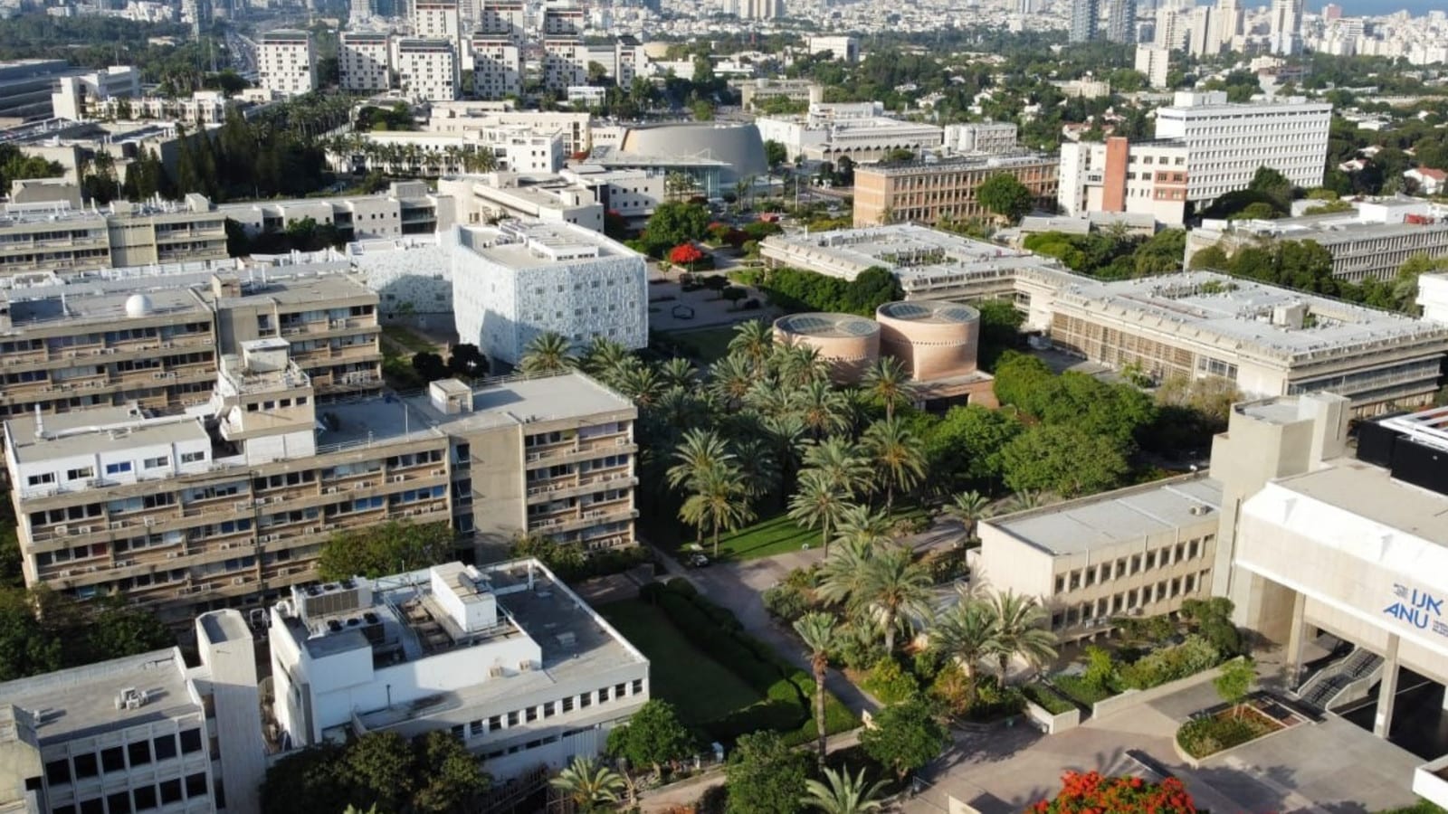 חד הקרן של ישראל: האוניברסיטה שהגיעה לצמרת העולמית