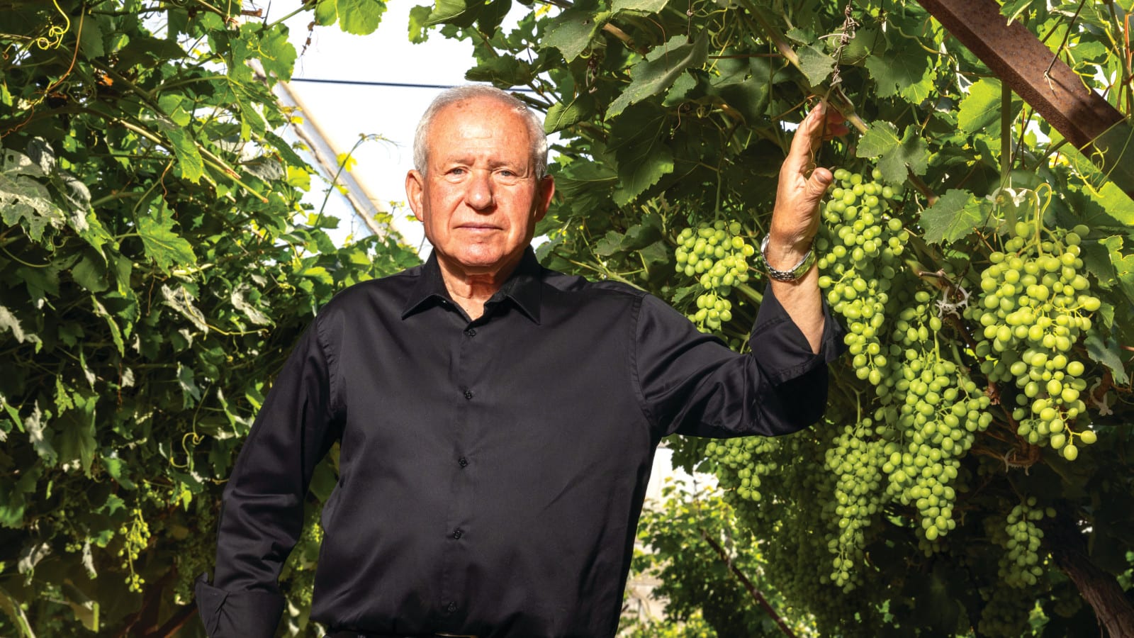 דיכטר מחוץ לטווח הריאלי? בכירי הליכוד מצאו לנתניהו פתרון