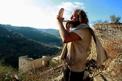 חשבון נפש: החיים זה לא מה שתכננתי