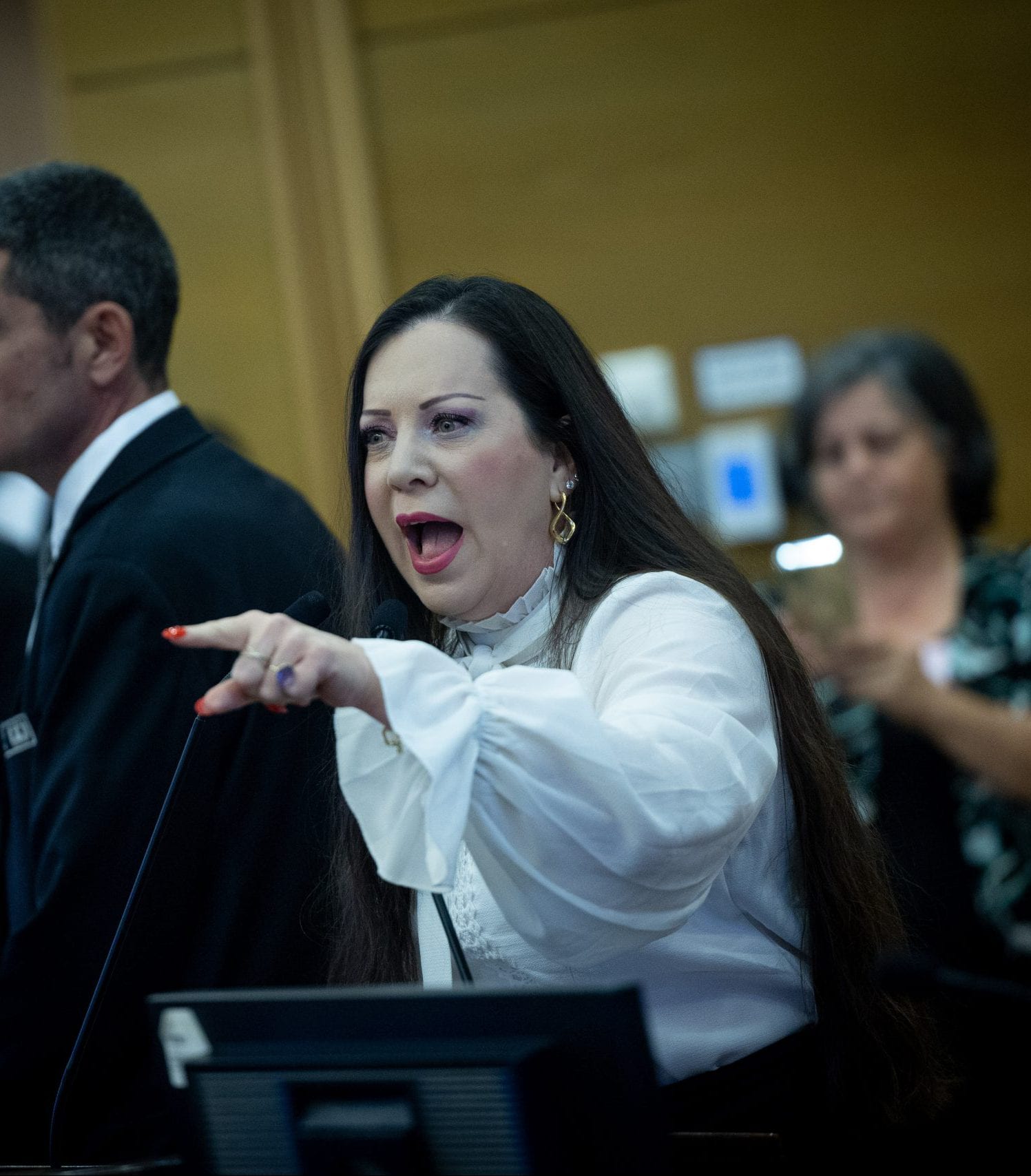 סערה בפריימריז: גוטליב טוענת לטפסים מזויפים