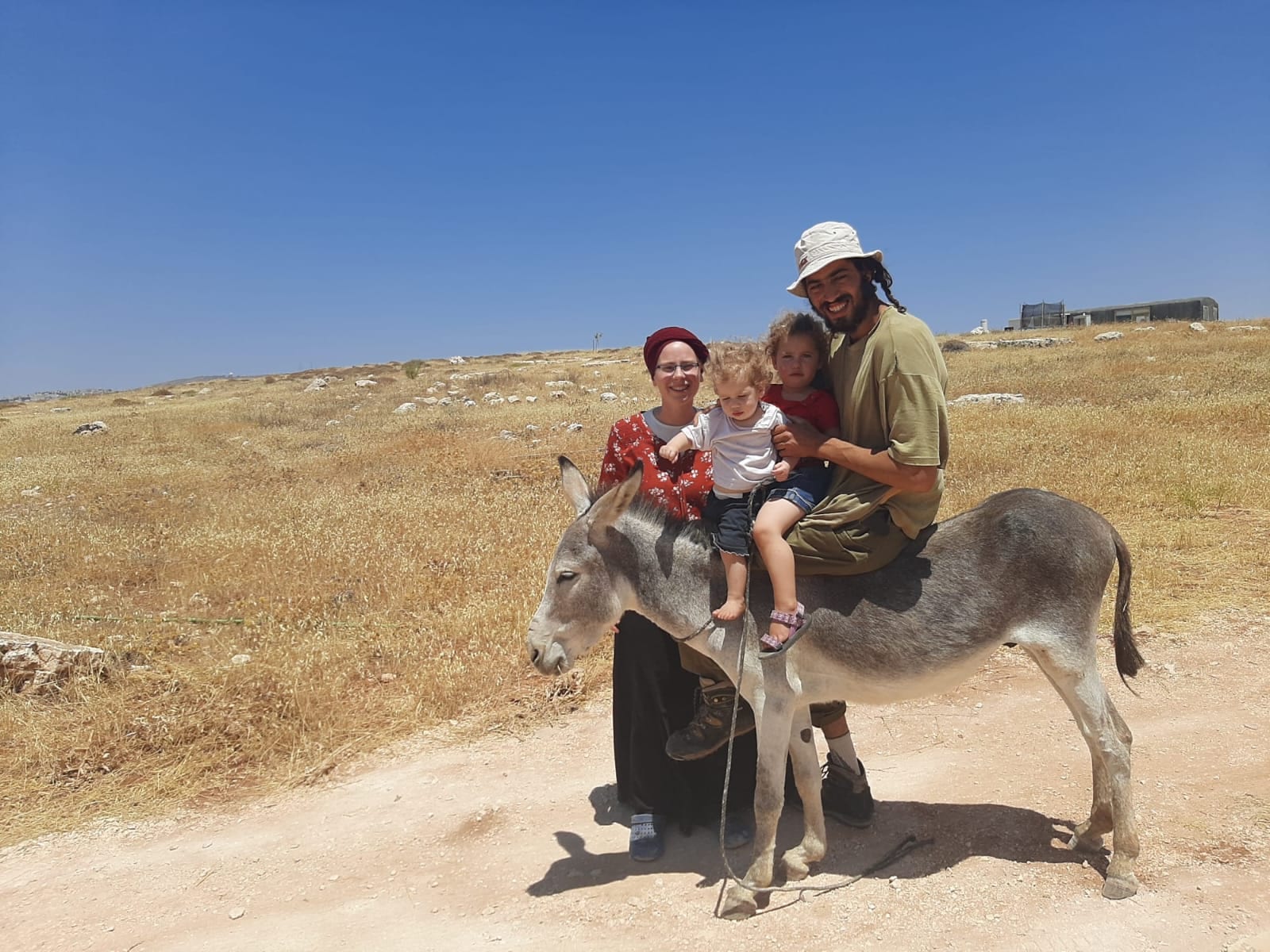 בקשת השחרור של טל דרדיק: השופט שם דד-ליין לתביעה