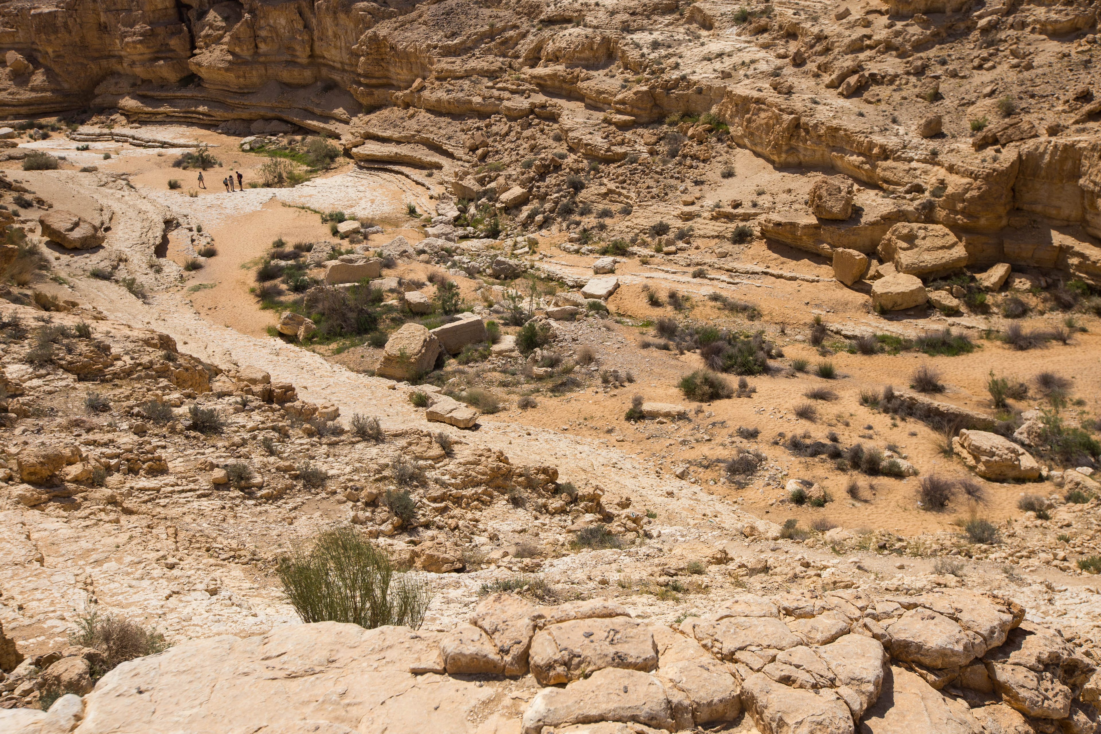 אחרי הסריקות: אותרו האב ו-6 ילדיו שנעדרו בנגב