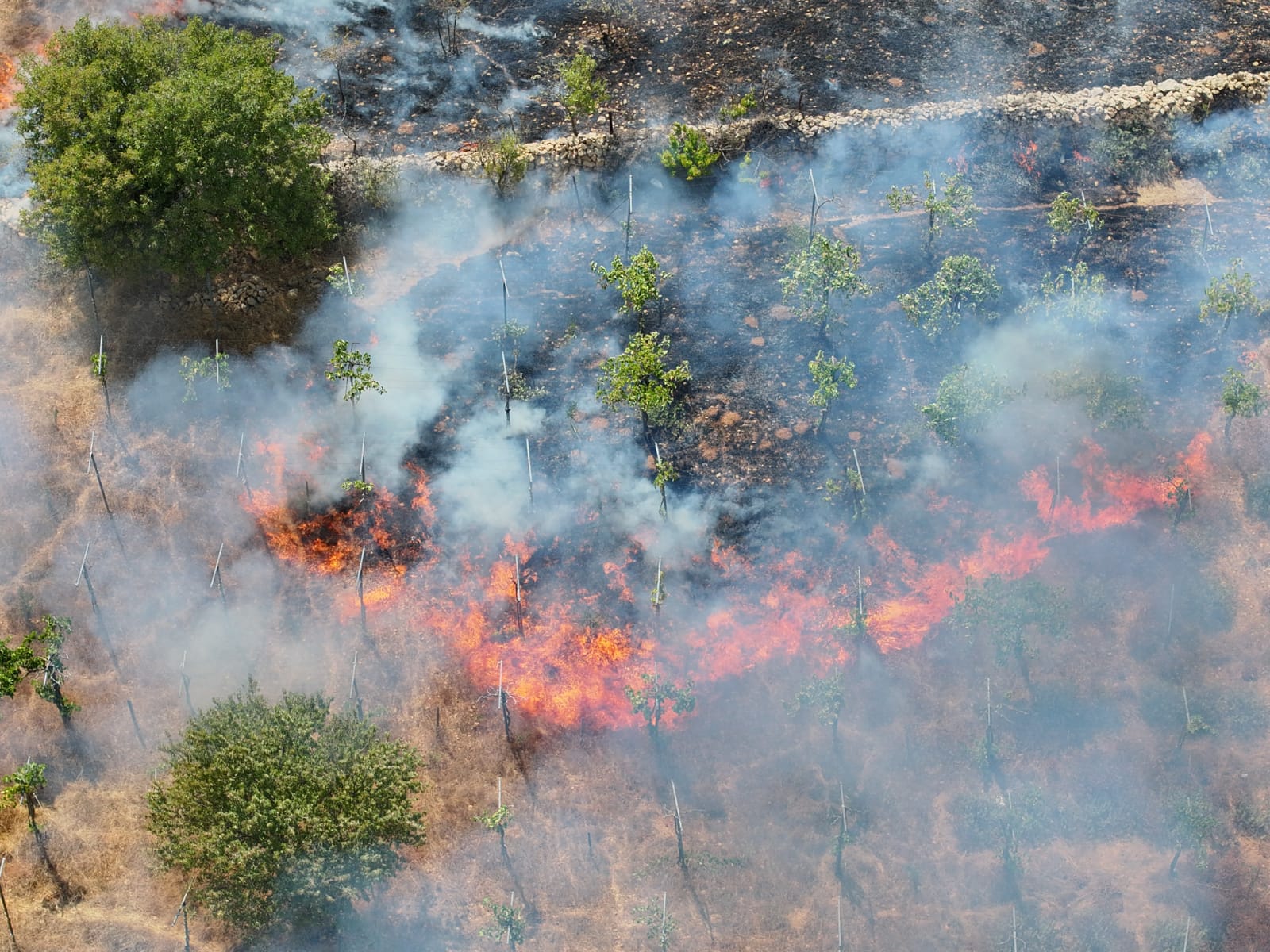 שריפה נרחבת בגוש עציון: קו בתים ראשון ביישוב פונה