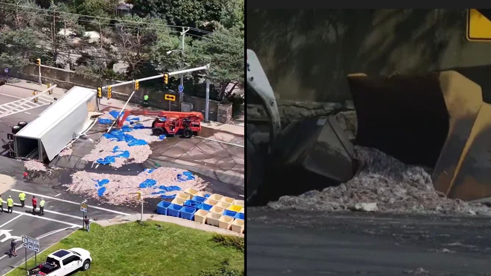 משחקי התמנון: התהפכות משאית שהפכה לוויראלית