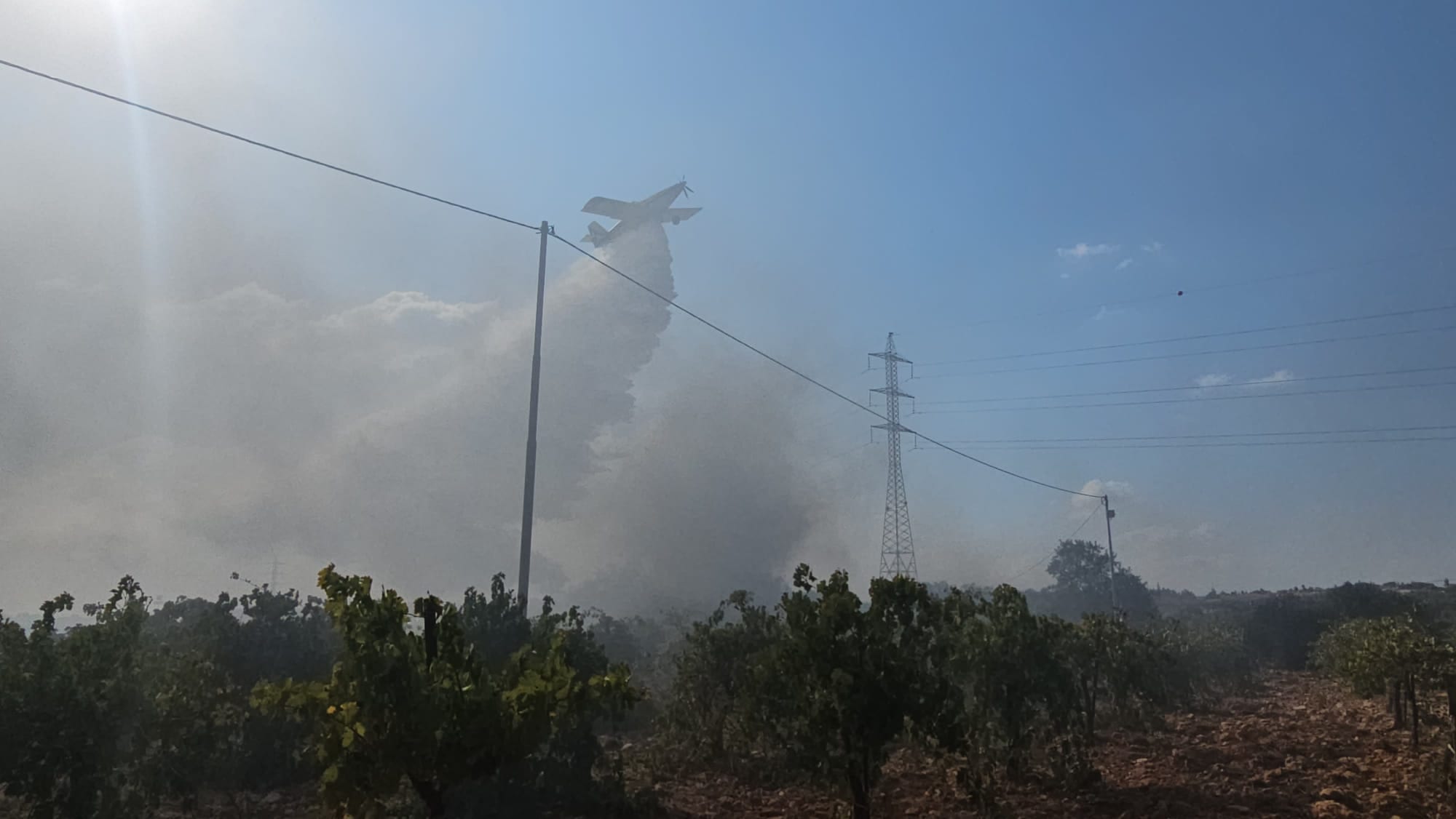 שריפה בצומת הגוש: האש מתפשטת בחסות הרוחות