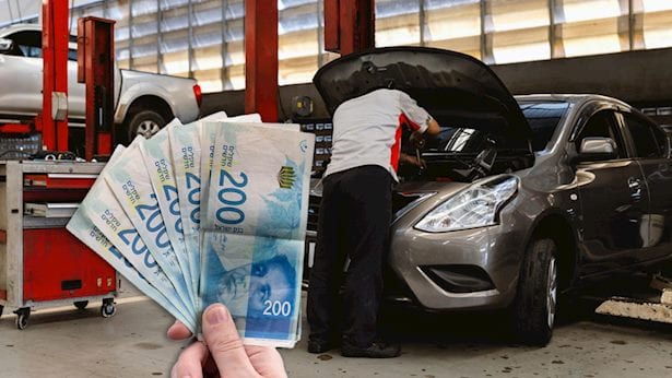 נמלים חדרו לרכב: חברת הביטוח תשלם עשרות אלפים