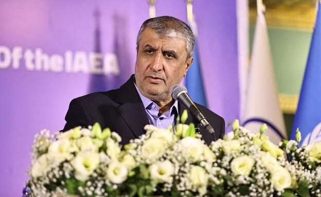 מבוכה לאיראן: ראש הארגון לאנרגיה אטומית לא הורשה להיכנס לאוסטריה