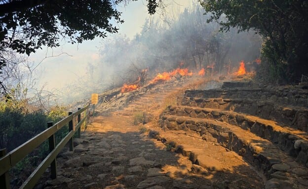 שרפה פרצה בשמורת הטבע תל דן, רשות הטבע והגנים ביקשה סיוע בכיבוי האש