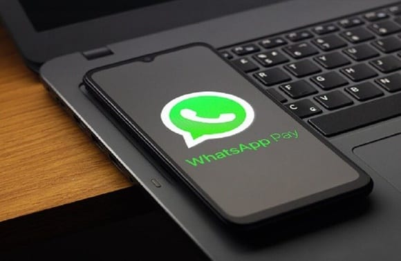 WhatsApp вводит плату за бизнес-сообщения с 1 октября