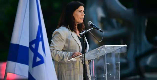 "דעת הקהל באירלנד לא פשוטה, ראינו חריגה בוטה"