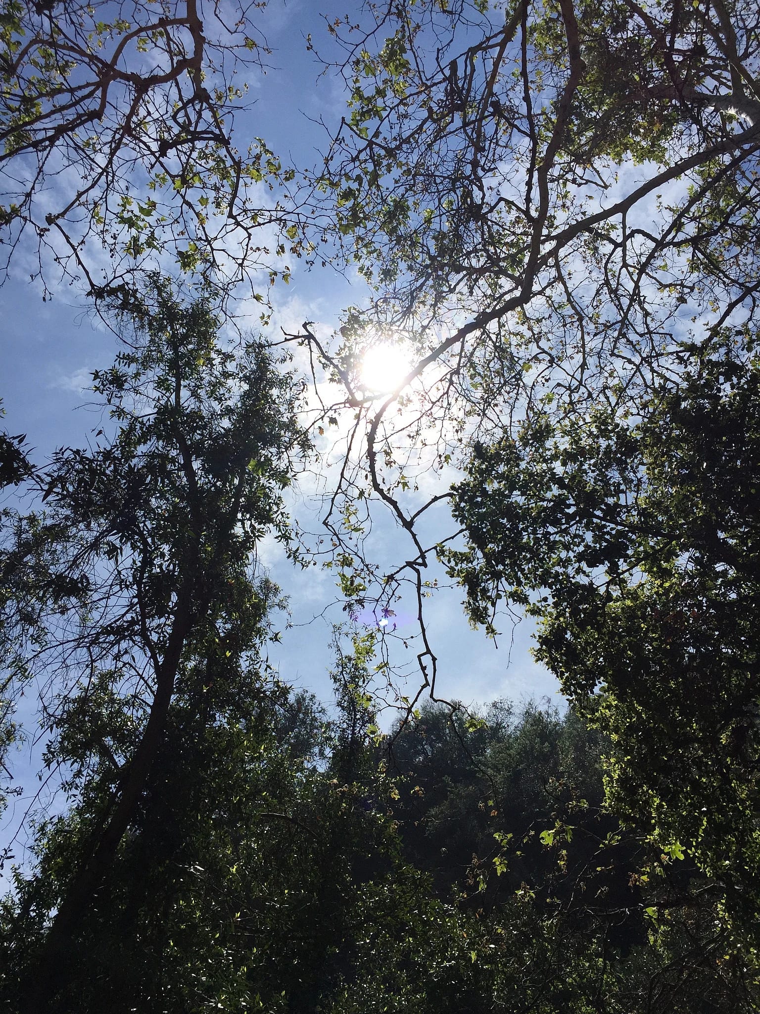Yom HaDin: Looking for the Good