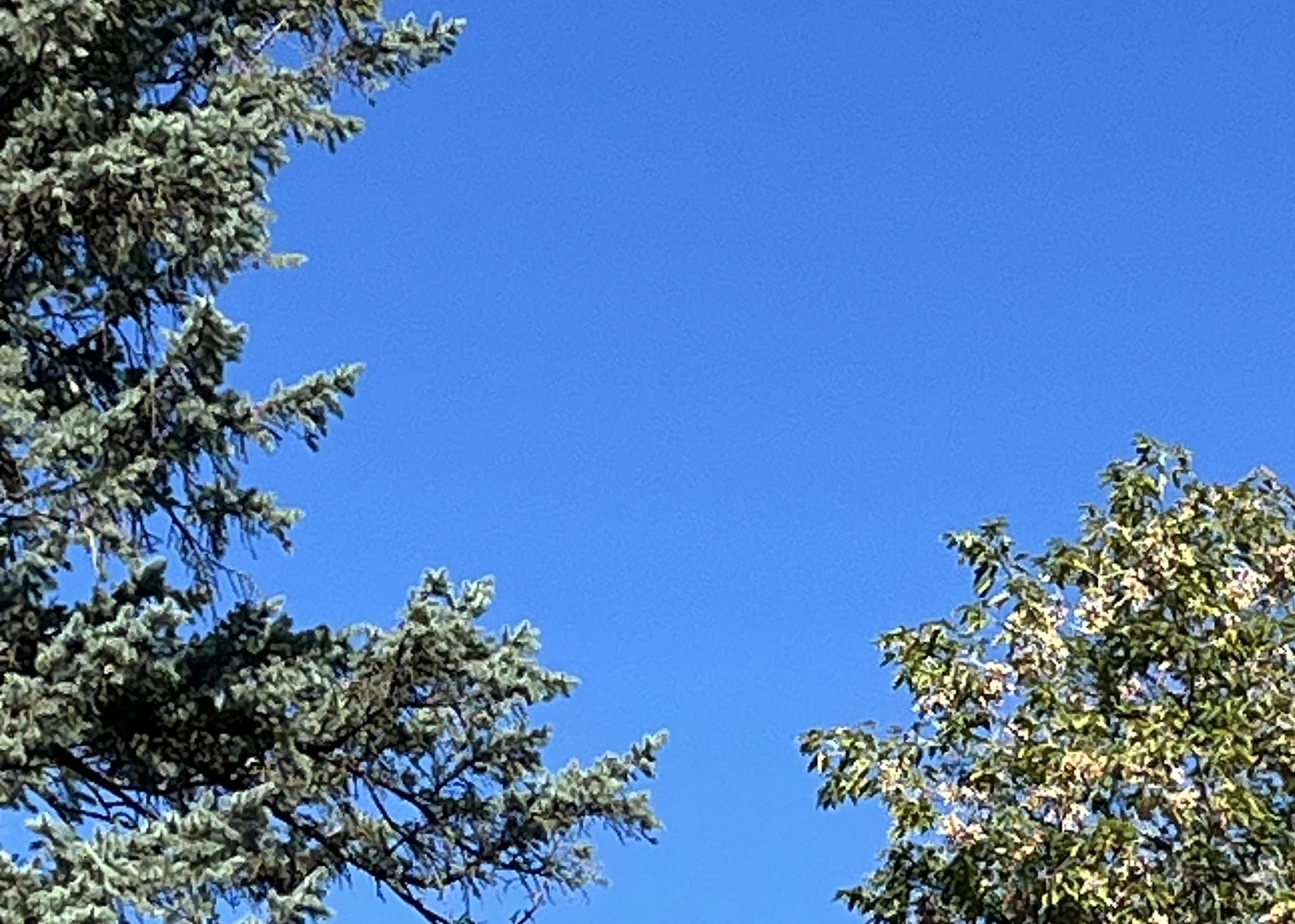 The sky is blue
