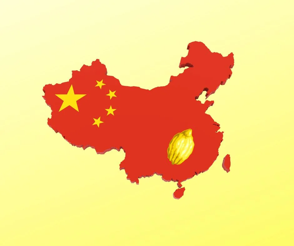 The Etrog’s Chinese Secret